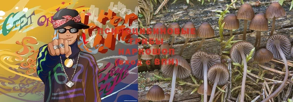 марки lsd Гусев