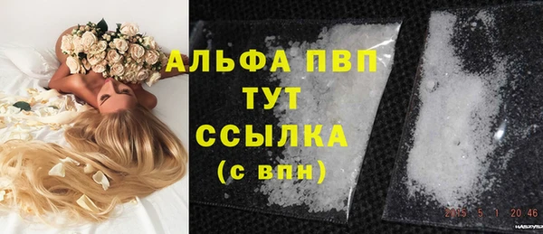 СК Гусь-Хрустальный