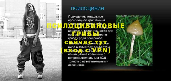 марки lsd Гусев