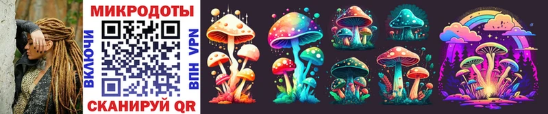Псилоцибиновые грибы Psilocybine cubensis цена Павловск